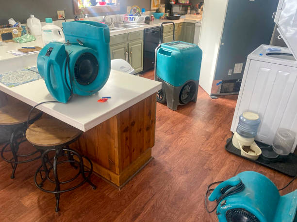 Best Local water damage restoration  in Orland Hls, IL