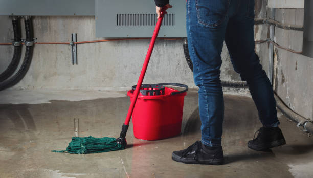  Orland Hls, IL Water damage restoration Pros