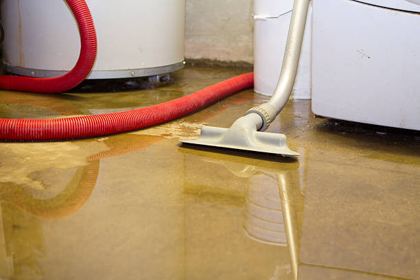 Best Flood damage cleanup  in Orland Hls, IL