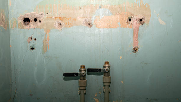 Best 24/7 water damage repair  in Orland Hls, IL