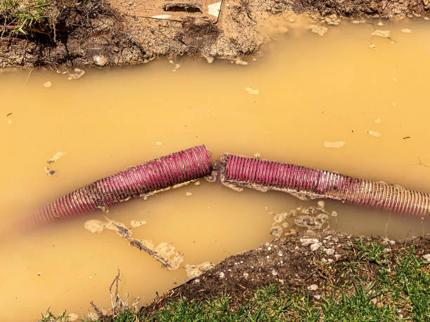 Best Water damage restoration insurance claims  in Orland Hls, IL